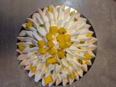 Pavlova