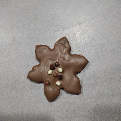 Biscuits chocolat